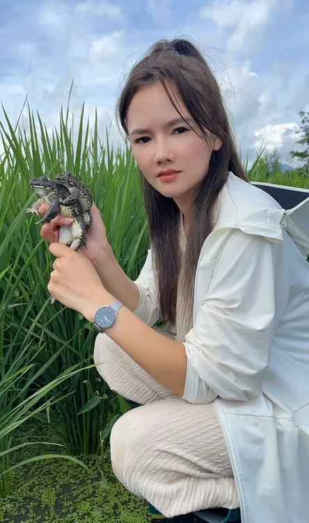 原生态低密度散养健康美食田鸡活蛙高档水产非牛蛙青蛙源头发货