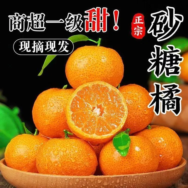 自家果园正宗沙糖桔新鲜水果皮薄多汁香甜多汁爽口京东送货上门