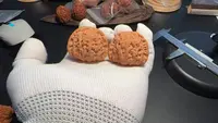超精对白狮子文玩核桃（多样性发货发其一）