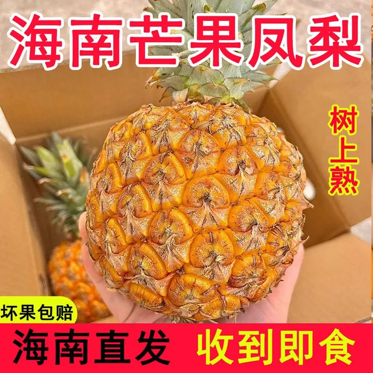 正宗海南芒果凤梨台农23号手撕菠萝新鲜孕妇水果整箱包邮