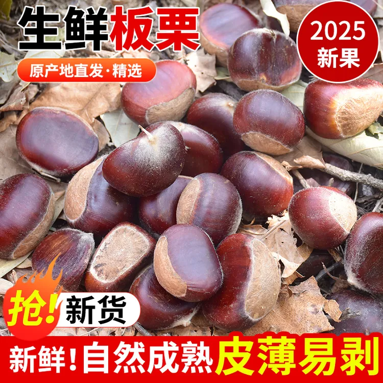 【新鲜板栗】2025年新下树嫩壳板栗白壳栗子现摘香甜当季板栗