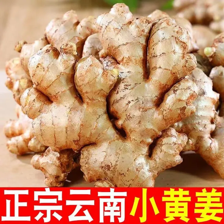 正宗云南小黄姜9斤5斤3斤包邮新鲜现挖山地姜月子姜产地直发