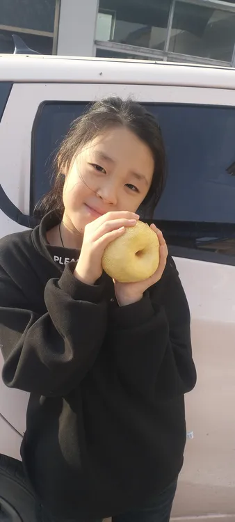 正宗砀山酥梨皮薄多汁新鲜现摘当季应季水果