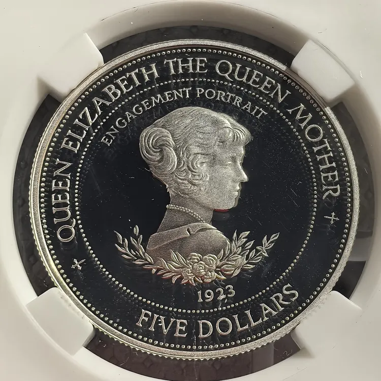罕见精铸1994巴吧多斯发行28.3g王太后订婚发行高银好品