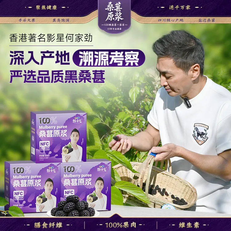 【溯源钜惠福利】劲家庄桑葚原浆NFC100%果肉熬夜应酬养身男女皆宜商品图