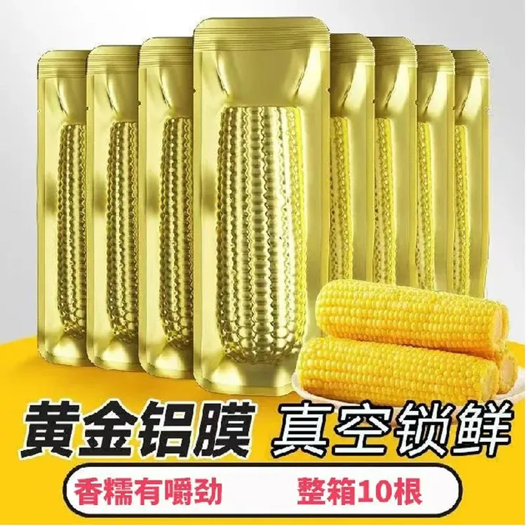 【试吃2根】铝箔包装东北黄糯玉米大棒10根整箱5-6斤香甜软糯NH