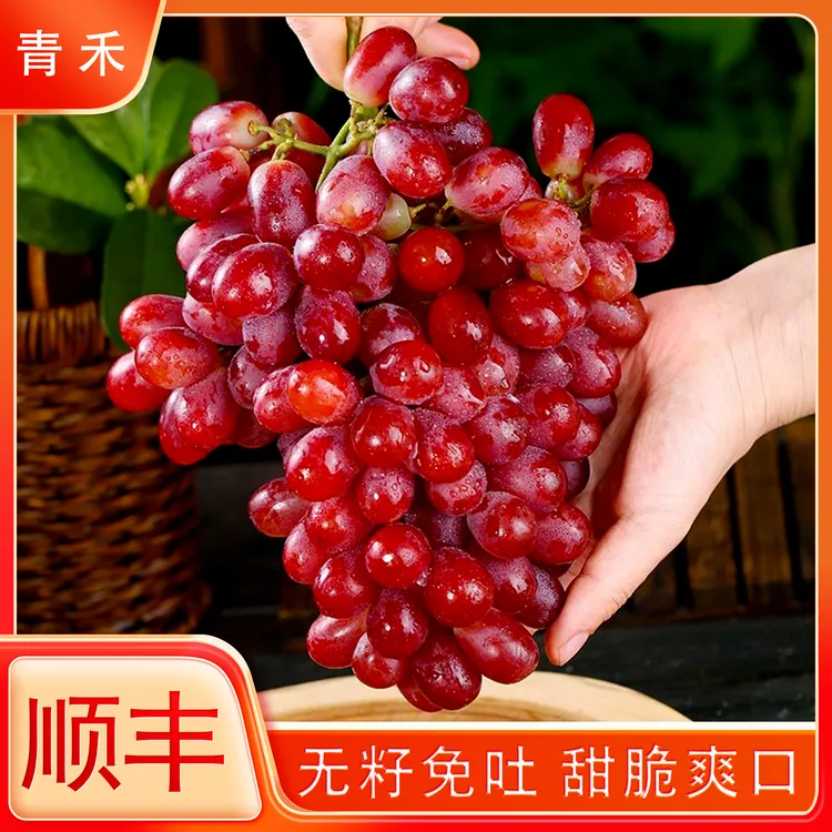 【顺丰包邮】克伦生无籽红提冰美人小糖豆葡萄皮薄纯甜无酸现摘现发