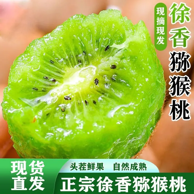 【品质好果】陕西眉县徐香猕猴桃大果香甜多汁应季水果