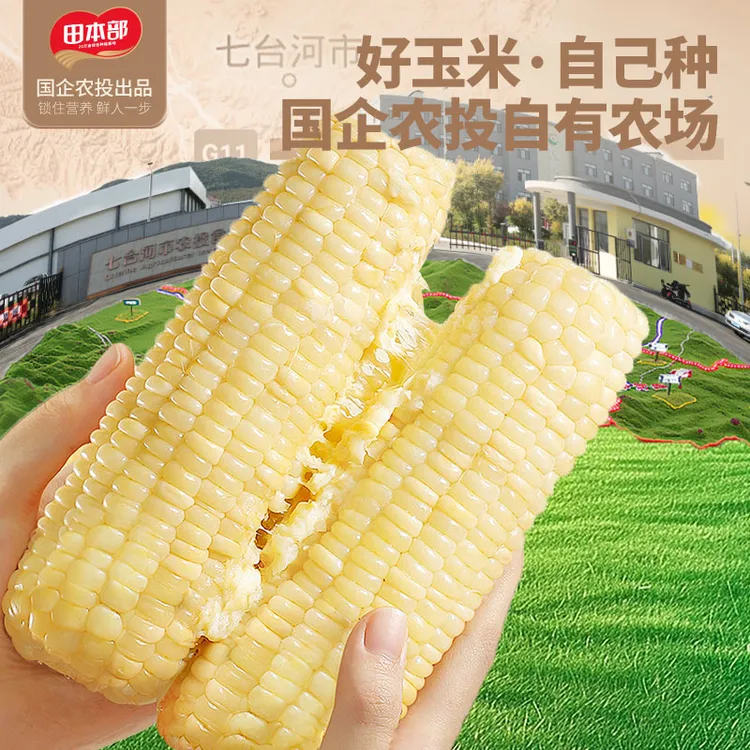 田本部东北白糯玉米软糯香甜饱腹代餐新鲜粗粮