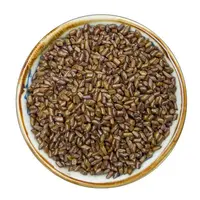 生决明子新货泡茶