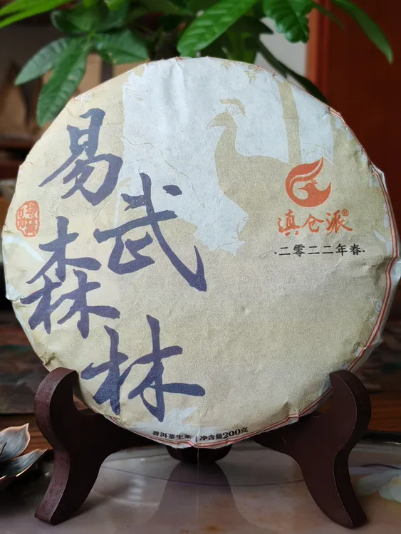 滇仓派｜2022年易武春茶｜古树普洱茶｜易武森林｜顺丰包邮｜送样泡