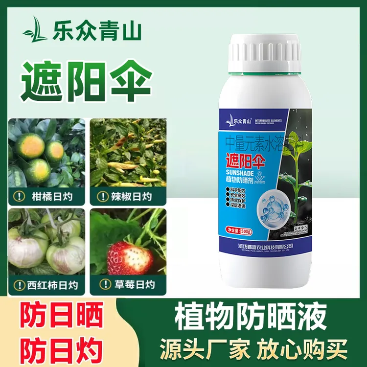遮阳伞果树柑橘辣椒葡萄瓜植物防晒剂日灼霜作物揭伤叶面肥