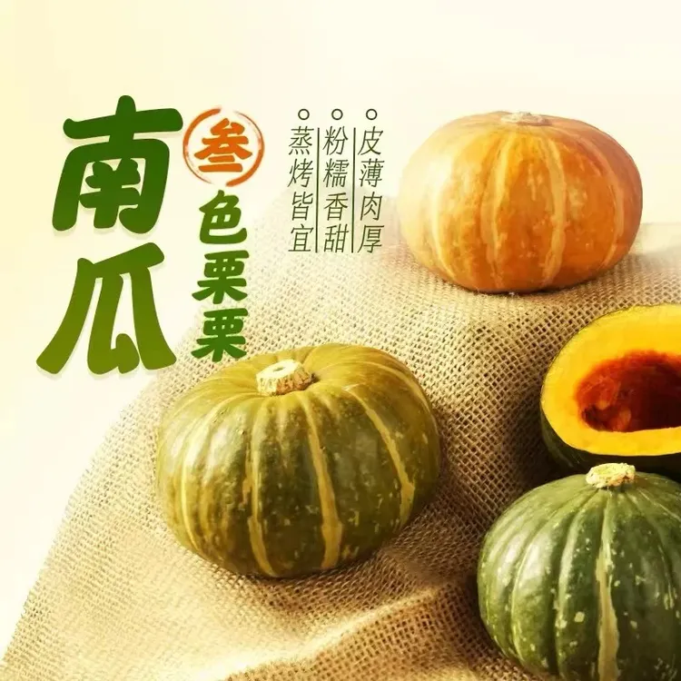 【精品叁色栗栗】三色栗栗蜜薯粉糯香甜新鲜沙漠南瓜辅食轻食宝宝