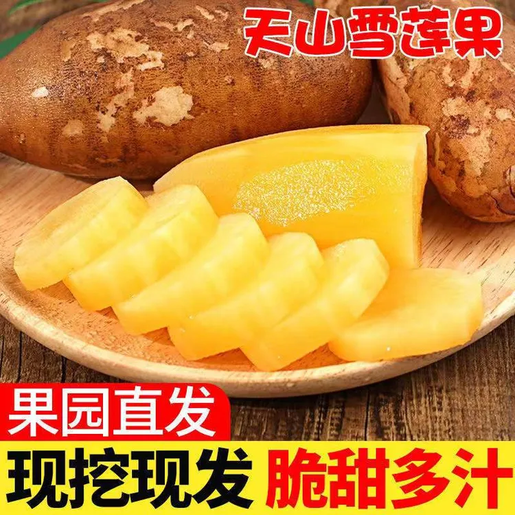  2025年云南天山雪莲果低糖头茬新鲜应季果脆甜多汁
