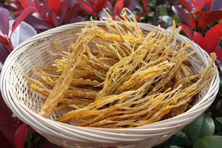 荥经特产熊猫笋农家纯手工制作龙须笋针笋刷把笋火锅汤锅中餐凉拌