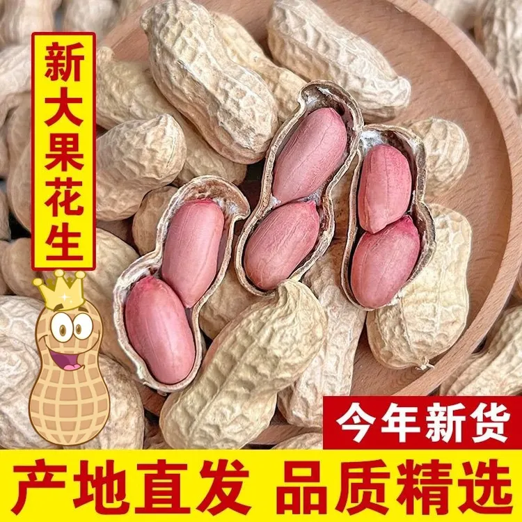 新货带壳生花生5斤晒干花生农家自种新鲜花生果薄壳花生种子净重