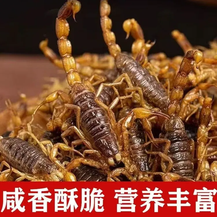 油炸即食高蛋白五香麻辣蝎子滋补养生下酒小菜特产