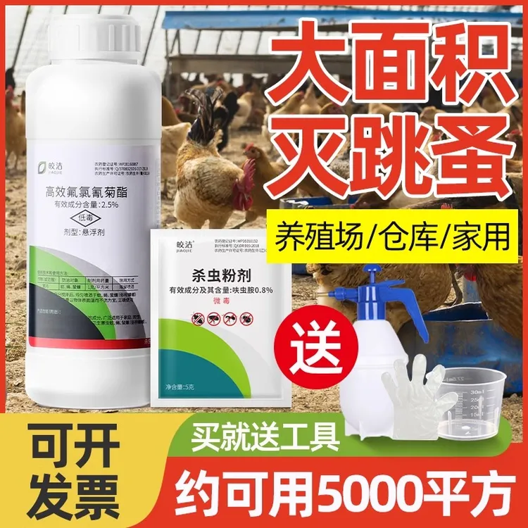 皎洁跳蚤药大面积专用杀虫剂虫卵双杀灭除跳蚤高效氯氟氰菊酯粉剂