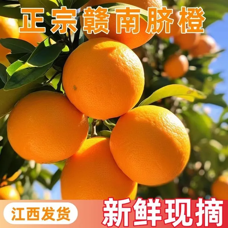 正宗赣南脐橙新鲜现摘皮薄肉厚多仓发货应季水果10斤20斤赣州直发