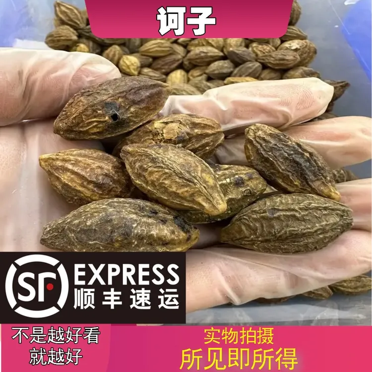 诃子成都中药材批发别名：诃黎勒、随风子、诃黎、诃梨