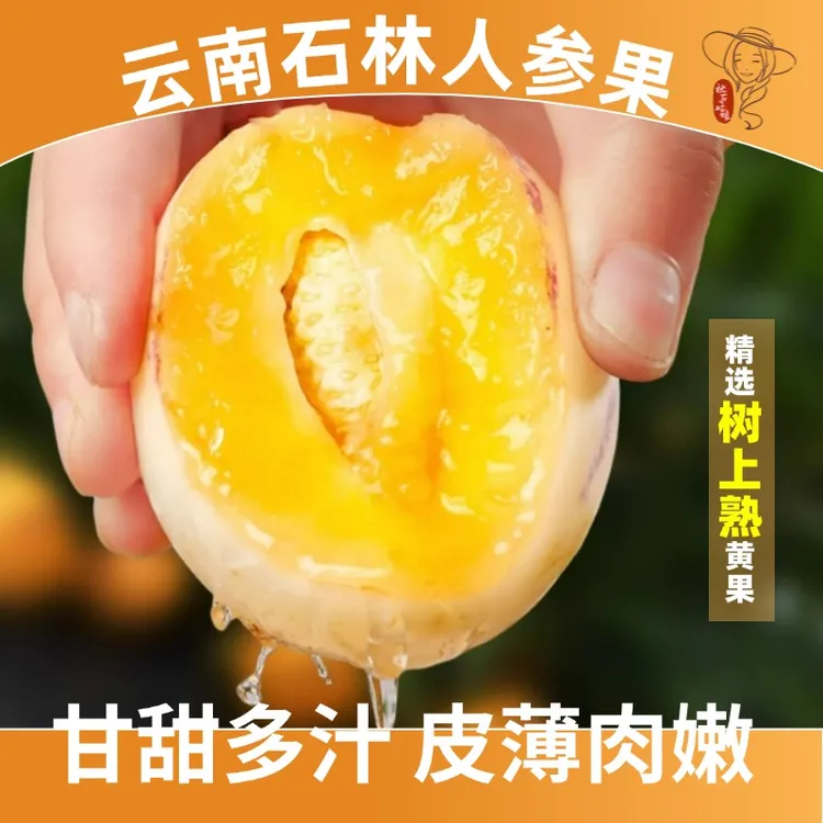 云南石林人参果【树上熟】果黄肉圆皮薄清甜多汁人参果新鲜顺丰直发