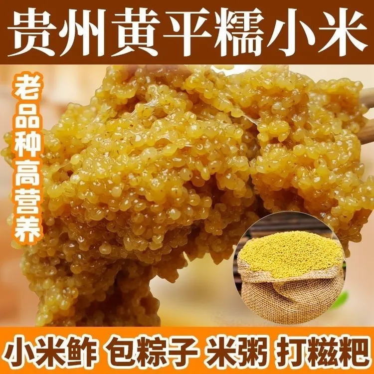 贵州特产黄平农家糯小米可做小米鲊包粽子煮粥打糍粑新米