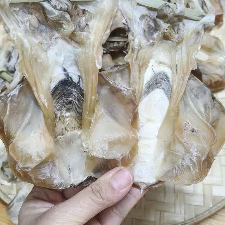 广东汕尾特产本港中号拖墨新晒淡晒煲汤食用墨鱼干目鱼干九成干