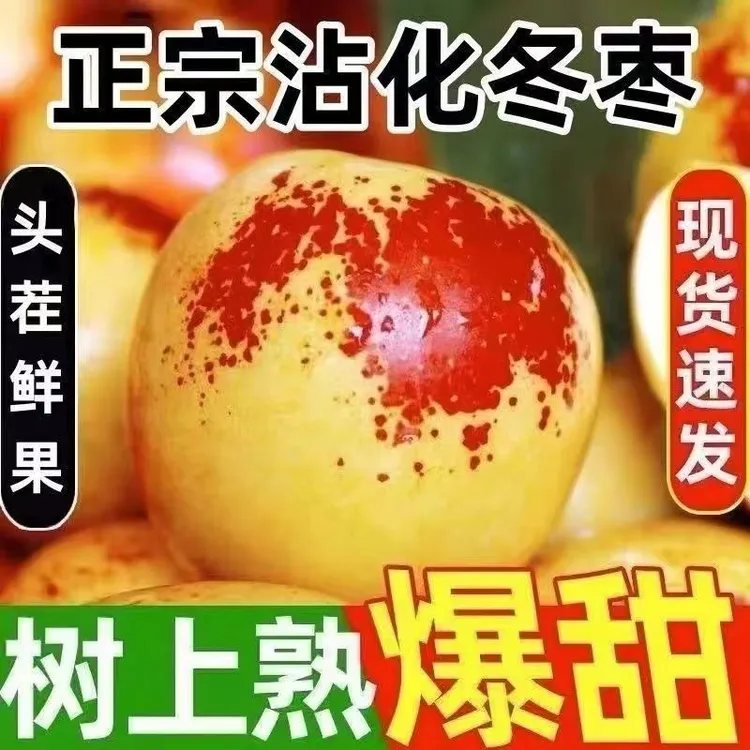 大棚自家种植沾化冰糖冬枣脆甜皮薄（更脆更甜）
