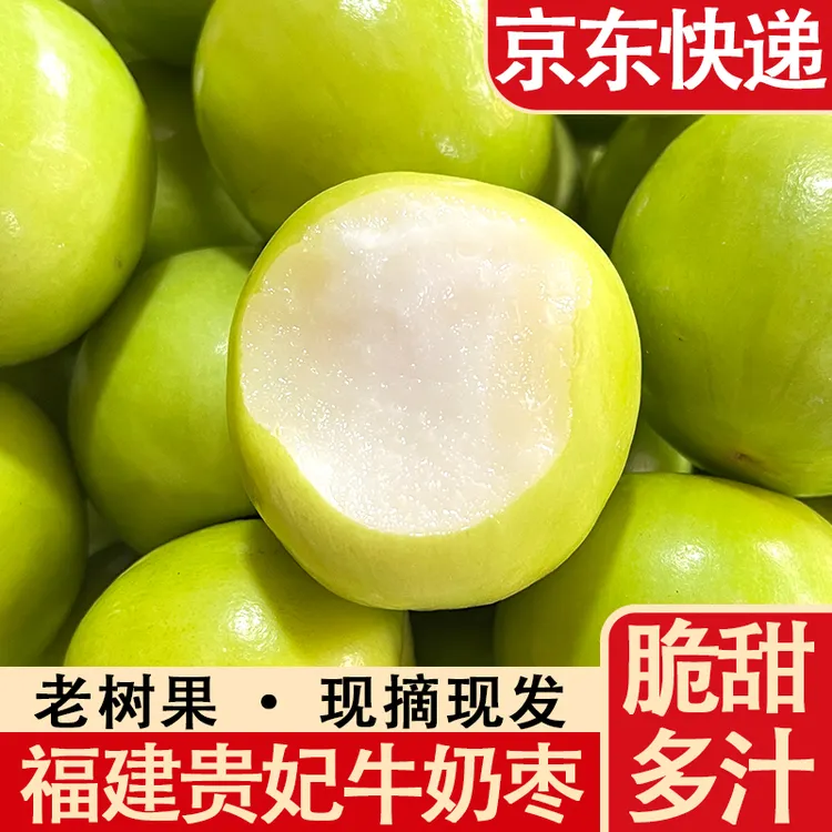 福建贵妃牛奶枣正宗漳州蜜枣3斤/5斤青枣鲜枣香脆清甜当季青枣