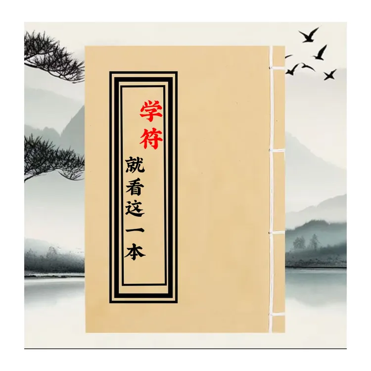 学符 就看这一本 390页中国传统文化历史类书籍民间方法学符内容