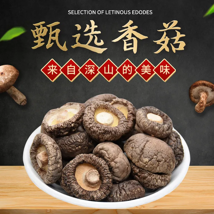 厚肉非野生食用菌子新鲜500g农家用