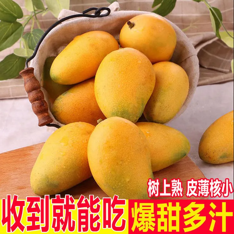海南芒果一箱小台芒整箱新鲜香甜小台农芒果水果产地直发包邮