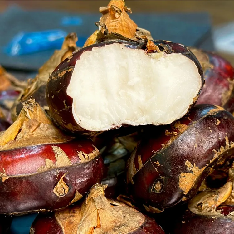 团风马蹄新鲜时令水果包邮现挖现发