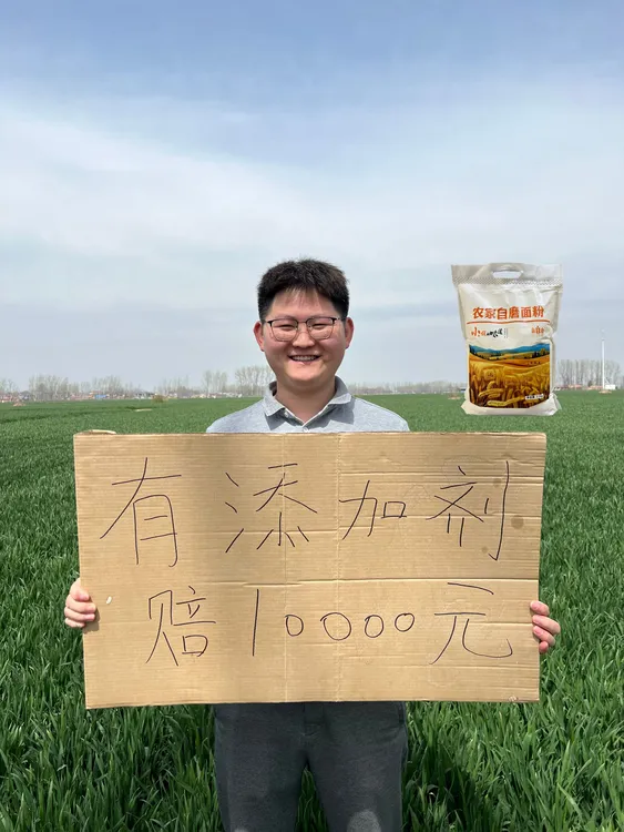 小齐家自磨面粉 零添加剂含胚芽麦芯 包子馒头面条饺子