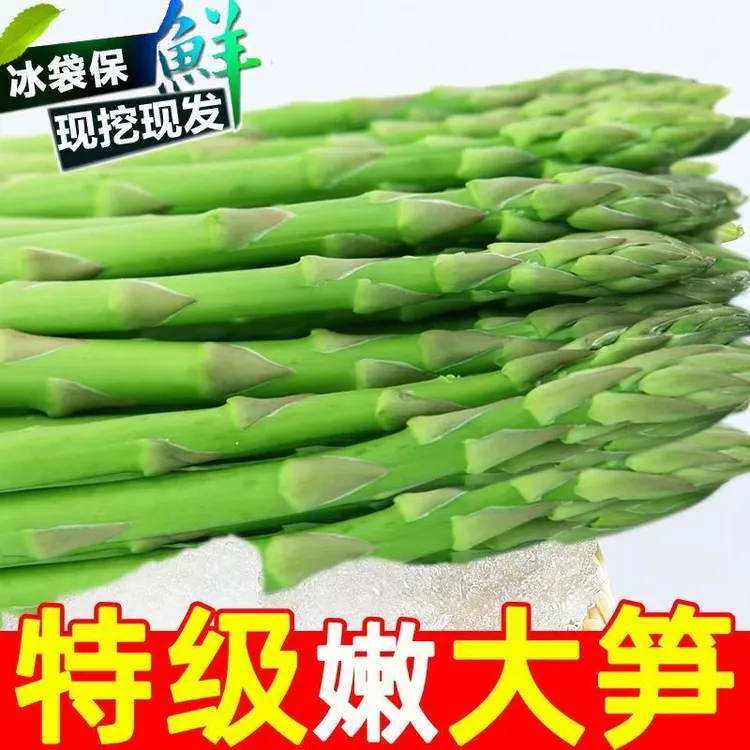 大棚特A级芦笋1.5以上基地新鲜现采现发芦笋健康蔬菜营养脆嫩可口