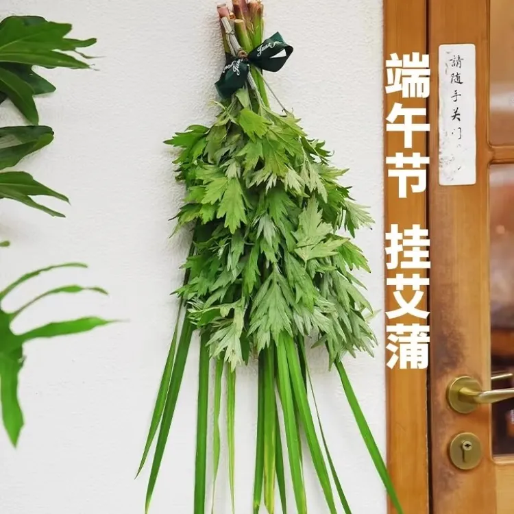 【株 系列】端午节艾草 菖蒲 可挂门窗祈福驱除蚊虫 鲜切植物 包邮