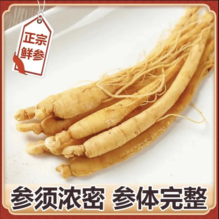 （精品十支）长白山保鲜参煲汤泡酒东北农产品拍1发10到手十支