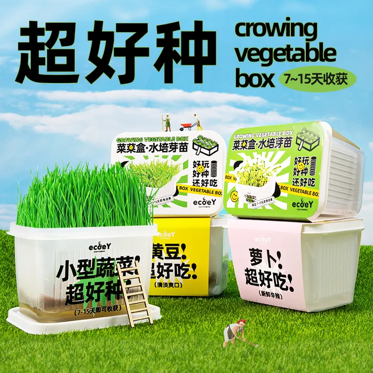 ecoey创意迷你办公室桌面种植小盆栽好吃健康沙拉蔬菜芽种植