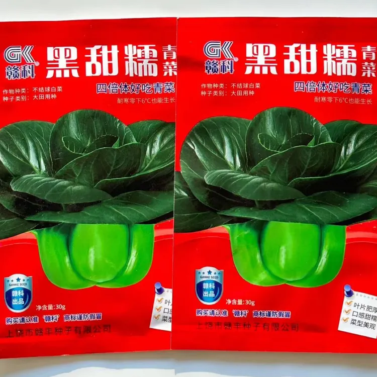黑甜糯青菜种子高产耐寒适合秋冬季播种的优良蔬菜种子