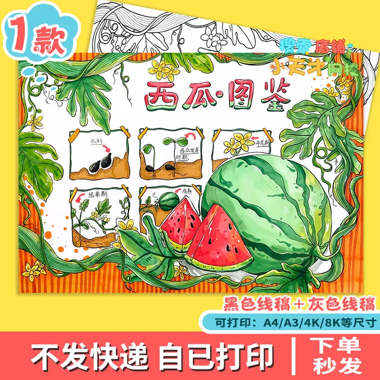 西瓜成长记手抄报电子模板小学生记录表植物生长观察日记线稿f113