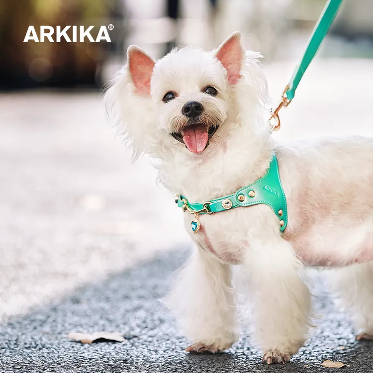 ARKIKA精致狗狗爱心吊坠牵引绳胸背式约克夏泰迪宠物网红外出遛狗