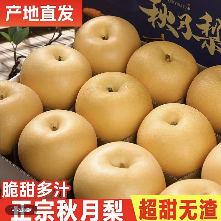 【邮政助农】正宗烟台莱阳秋月梨新鲜冰糖梨当季水果秋月梨现摘皮薄