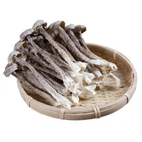 高山鹿茸菇50g*4包脆脆菇农家特产脆爽营养优质鹿茸菌
