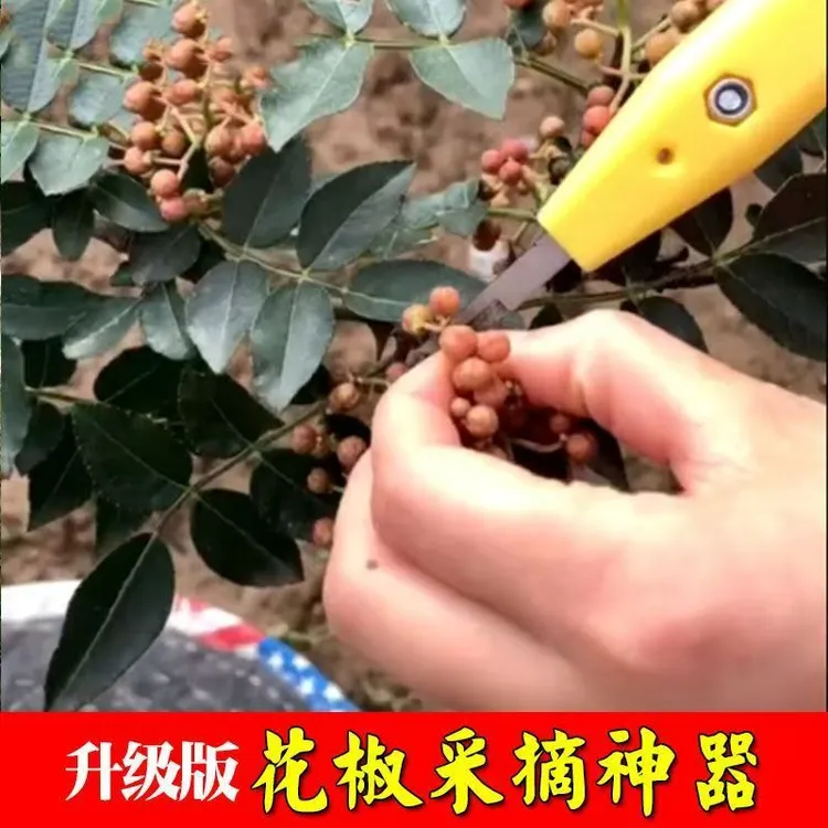 【套装】摘花椒神器手握专用剪刀葡萄草莓枸杞芸豆荔枝龙眼采摘工具