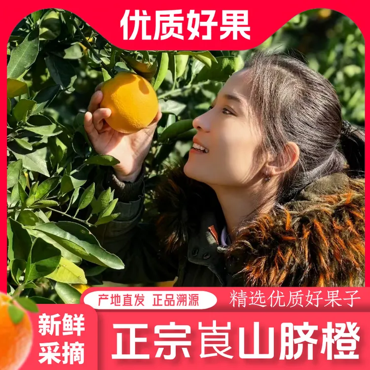 正宗崀山脐橙当季现摘新鲜水果产地直发清甜多汁整箱新宁手剥橙子