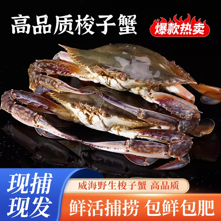 【保鲜不保活】山东威海野生海捕鲜活梭子蟹4-5两一只一斤2只顺丰