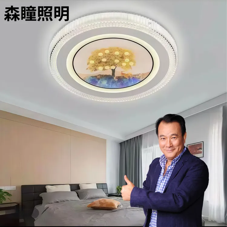 森瞳照明led吸顶灯简约时尚大气智能语音全光谱护眼