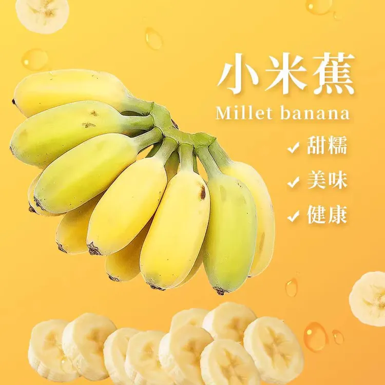 正宗广西小米蕉当季水果带箱5斤软糯酸甜新鲜现摘产地直发A