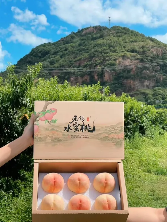【买一送一】5-6两晚湖景送礼正宗阳山水蜜桃软糯新鲜现采原产地