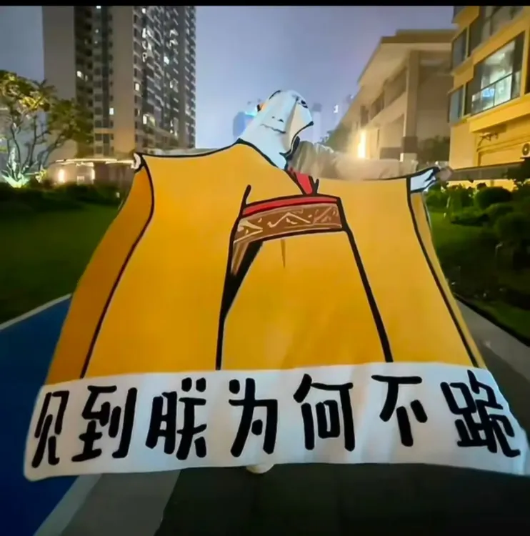 【重一】皇帝龙图毛毯异形搞怪午睡空调毯毛毯抽象龙图驾车个人用品